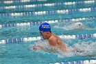 Swimming & Diving vs Babson  Swimming & Diving vs Babson College. - Photo by Keith Nordstrom : Wheaton, Swimming